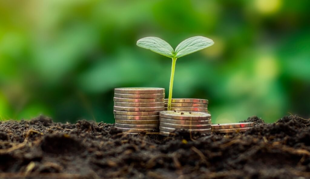 Informe de SAP Revela un Auge Sostenible: Empresas Latinoamericanas Abrazan la Responsabilidad Ambiental - Google